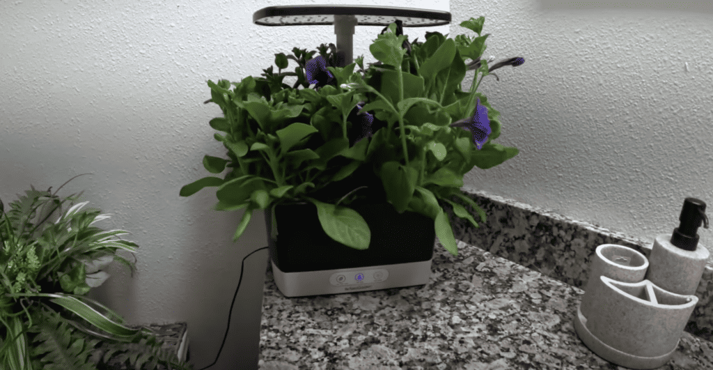 Aerogarden Harvest